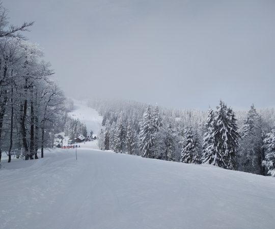 IMG_20180206_113327