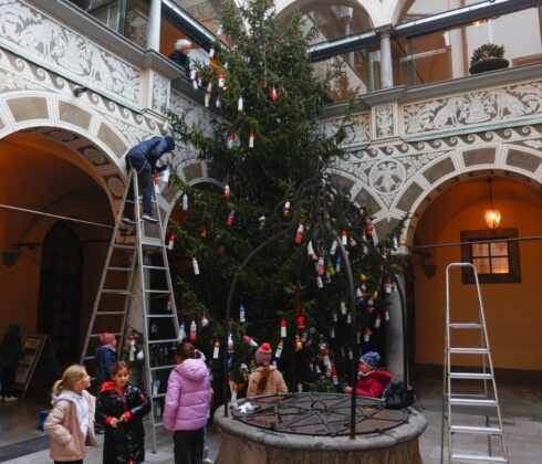 20231129_krasenje novoletne jelke_nrovan_001