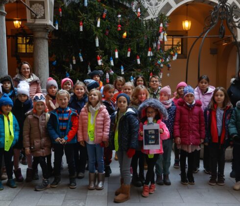 20231129_krasenje novoletne jelke_nrovan_014